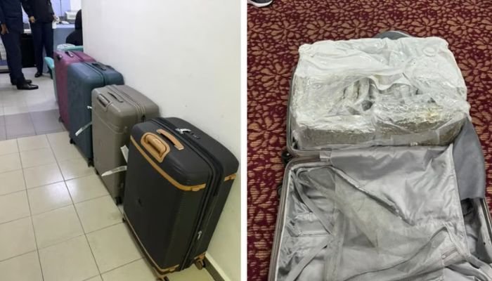 இந்தியாவில் கோவாவில் நடைபெற்ற  FIDE  உலக  சதுரங்க போட்டியில் சாதனை படைத்த கவின் மோகன்