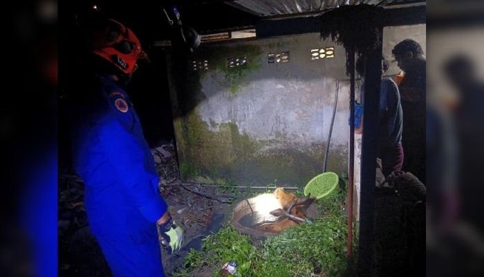 கிணற்றில் ‘பேய்’ என அஞ்சினால், சிக்கித் தவித்திருந்தது மாடு; வெற்றிகரமாக மீட்ட மீட்பு குழுவினர்