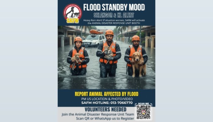 கோலாலம்பூர் சிலாங்கூரில் வெள்ளம்: விலங்குகளை காப்பாற்ற களமிறங்கும் விலங்குகள் பாதுகாப்பு சங்கம்