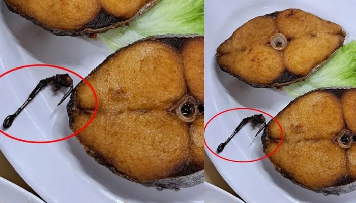 சிங்கப்பூர் உணவகத்தில் வறுத்த மீனில் 2.5 செண்டி மீட்டர் அளவில் மீன் பிடிக்கும் கொக்கி பெண்ணின் வாயில் சிக்கிய சம்பவம்