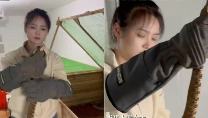 60,000 விஷப் பாம்புகளை வளர்க்கும் சீனப் பெண்;  ஆண்டுக்கு அரை மில்லியன் ரிங்கிட் லாபம் ஈட்டி சாதனை